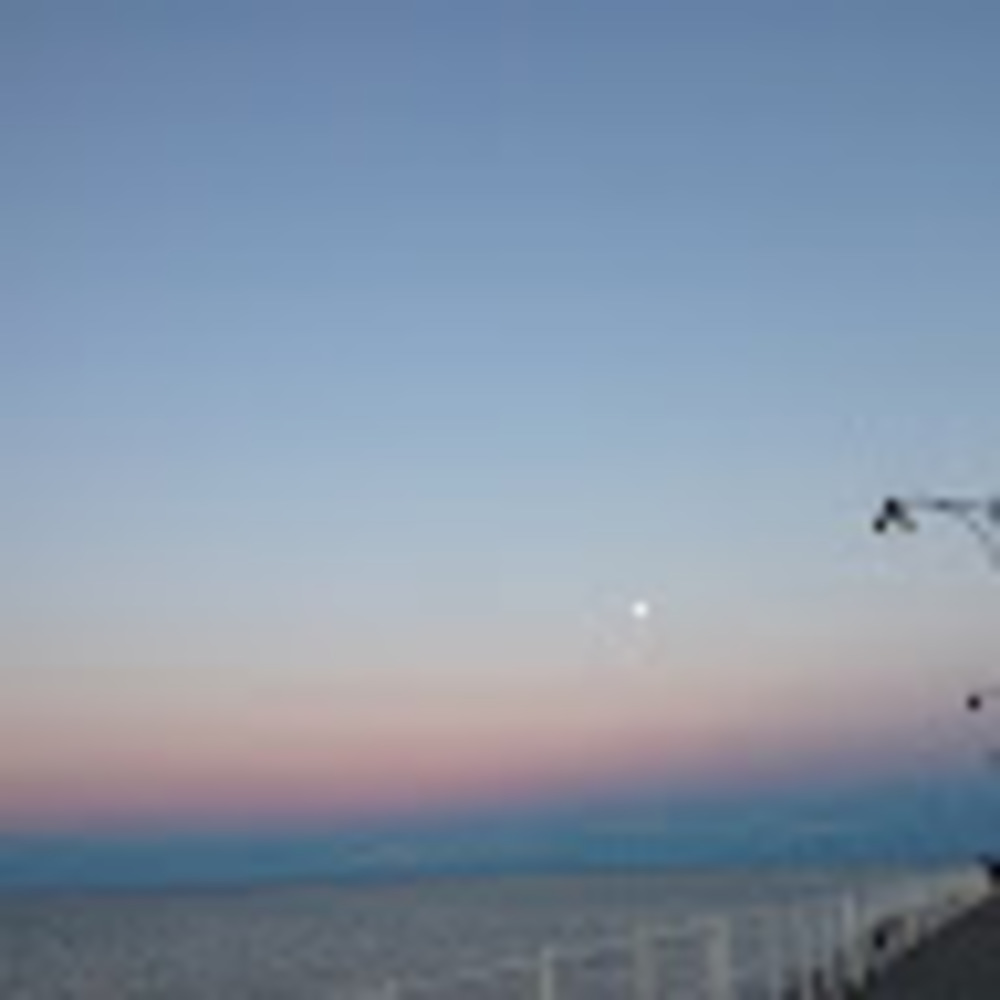 Meet your Posher, Sophia